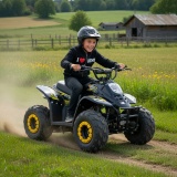 ATV BEMI 125cc Panzer 4T automatic DNR 7" LED