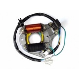 Stator cu 2 Bobine ATV 110/125cc - Img 1