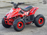 ATV BEMI 125cc Panzer 4T automatic DNR 7" LED - Img 4