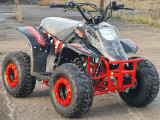 ATV BEMI 125cc Panzer 4T automatic DNR 7" LED - Img 8