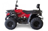 ATV Linhai M210 2x4 model omologat T3b - Img 3