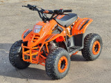 ATV BEMI 125cc Panzer 4T automatic DNR 7" LED - Img 5