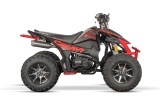 ATV BEMI Celavi 250 manual RS10 CE - Img 7
