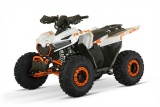 ATV BEMI HULK 125 Automatic R8 PRO - Img 5