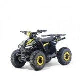 ATV Naples e-POWER 1000 W cu diferential si direct drive