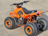 ATV BEMI 125cc Panzer 4T automatic DNR 7" LED - Img 6