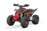 ATV BEMI Celavi 250 manual RS10 CE