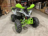 ATV 125 BEMI Raptor DNR Ultra 8" automatik - Img 3