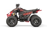ATV BEMI Celavi 250 manual RS10 CE - Img 5