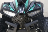 ATV BEMI 125cc Naples automatic DNR 7" LED - Img 7