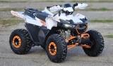ATV BEMI HULK 125 Automatic R8 PRO - Img 2
