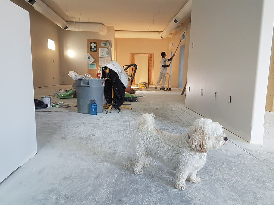 Care sunt etapele renovarii unui apartament? Importanta fiecareia