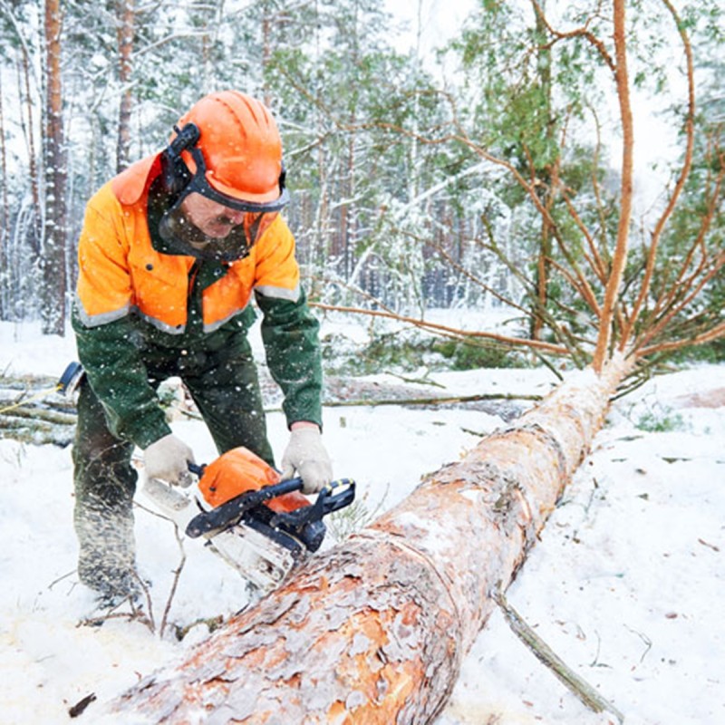 Intretinerea, utilizarea si depozitarea corecta a drujbei pe timp de iarna