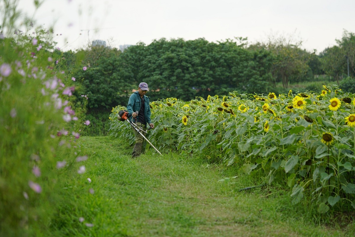 Garnitura de etanșare la o bujie și efectul asupra temperaturii de funcționare