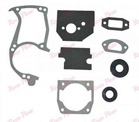 Accessori per motoseghe cinesi 4500, 5200 (+siringhe)