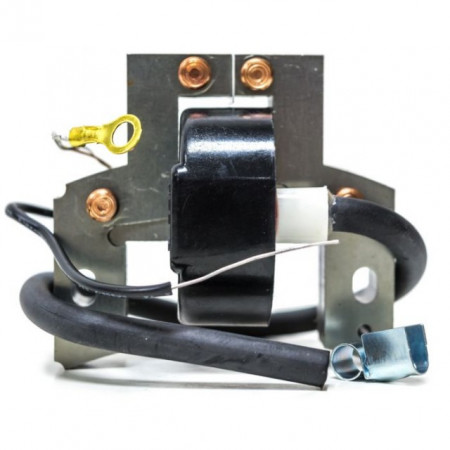 Briggs&amp;Stratton 5CP accensione verticale + orizzontale