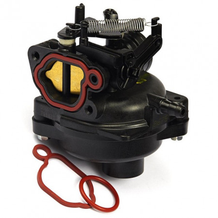 Carburatore Briggs&amp;Stratton 799584