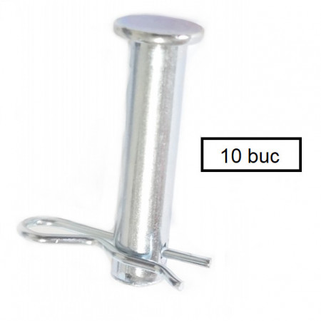 Confezione di viti e bulloni a taglio (10 x 50 mm) 10 pezzi