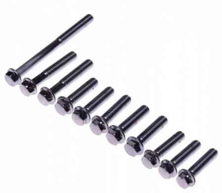 Set di viti del copricinghia dello scooter 2T (11 pezzi)
