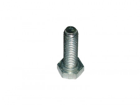 Blade screw for chainsaw log peeler (blade mounting)