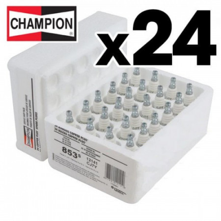 Confezione 24 pezzi candele per motosega Champion CJ7Y