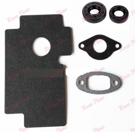 Gaskets + chinese chainsaw seals 2500