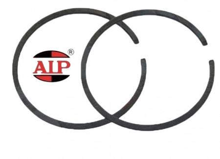 Сегмент Ø 42mm x 2 mm AIP