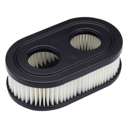 Filtro aria Briggs &amp; Stratton Quantum