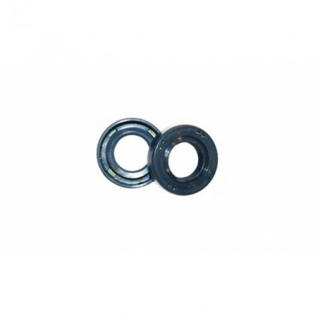 Seal 15 x 27 x 5,5 mm