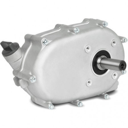 Cambio 2:1 per motosega / fresa / Kart Gx 160, Gx 200