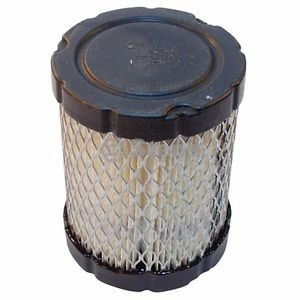 Filtro aria Briggs &amp; Stratton 215802, 215805, 215807