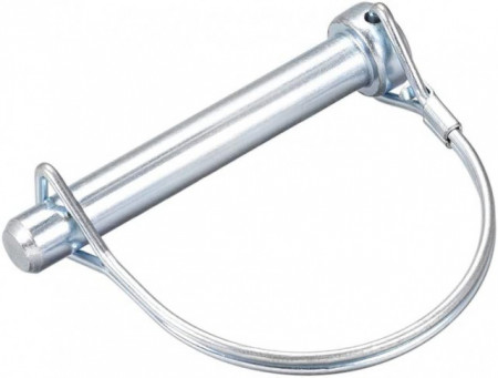 Vite e bullone a taglio semicircolare (8 x 70 mm)