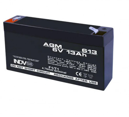 Batteria stazionaria 6V 13Ah (auto elettrica)