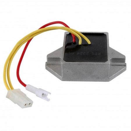 Regolatore di tensione Briggs e Straton (10, 13, 14, 16 AMP)