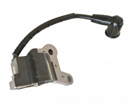 Ignition for brush cutter (with engine in 4 strokes)