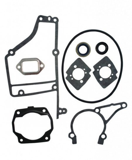 Set guarnizione + guarnizione barra falciante compatibile con Stihl TS 400