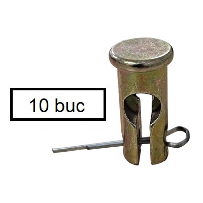 Confezione di viti e bulloni a taglio (10 x 24 mm) 10 pz.