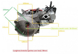 Γεννήτρια κινητήρα (κωνικός άξονας) 6.5CP (χωρίς δεξαμενή) - Img 2