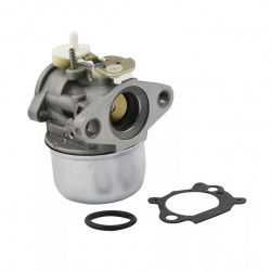 Carburator Briggs&Stratton 499059
