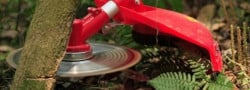 Disc taietor motocoasa 230 x 36T x 25.4mm Red Mountain-2