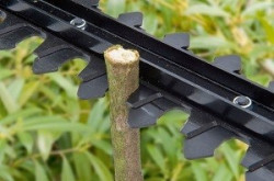 Attacco per tagliasiepi (∅ 26mm 9 denti) - Img 2