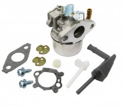 Briggs&amp;Stratton Vergaser 798653, 697354, 790290