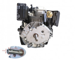 Motor 6 CP (ax vertical) Model 1P70