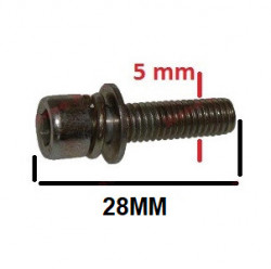 Surub motocoasa-2