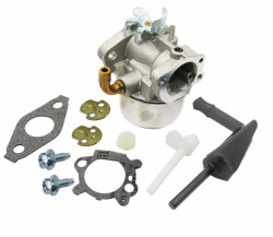 Carburator Briggs&Stratton 798653