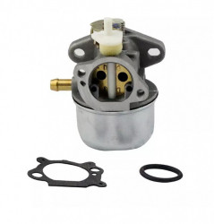 Καρμπυρατέρ Briggs&amp;Stratton 497586, 499059