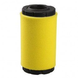 Filtru aer Briggs & Stratton 793569