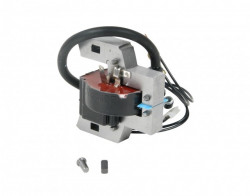 Briggs&amp;Stratton 5 CP 397358 Zündgerät - Img 1