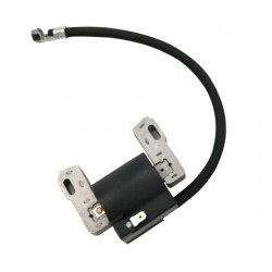 Briggs&amp;Stratton 843931 allumeur