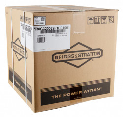 Motor Briggs & Stratton Seria XR950
